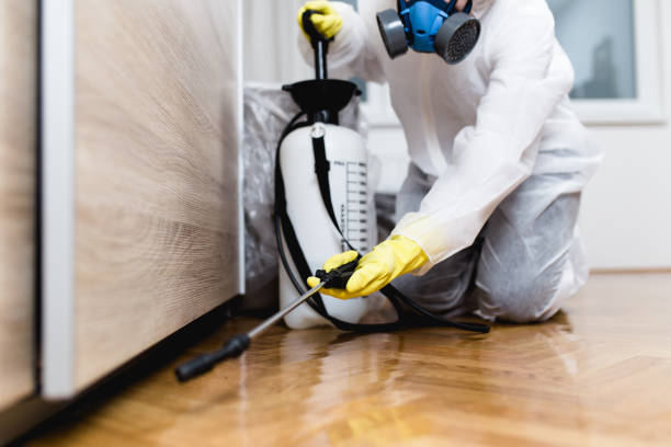 Best Pest Removal Services  in Turpin Hills, OH