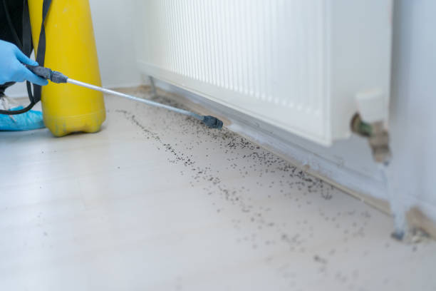 Best Rat Extermination Near Me  in Turpin Hills, OH